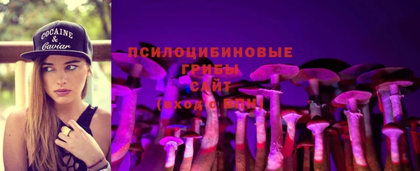 спиды Арсеньев