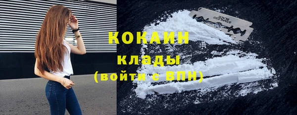 шишки Армянск