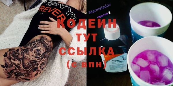 спиды Арсеньев