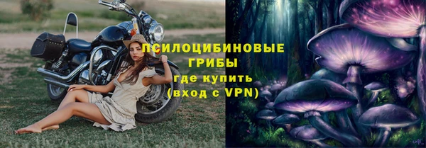шишки Армянск